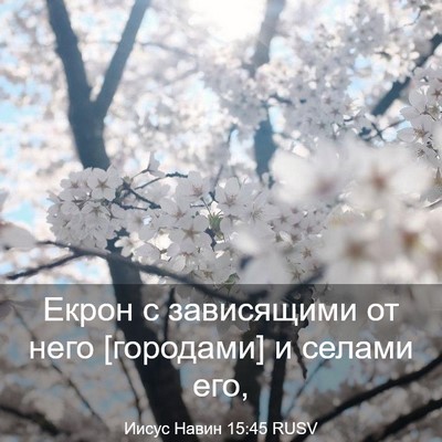 Picture 03 - Иисус Навин 15:45 RUSV - Екрон с зависящими от него - Bible Verse Picture