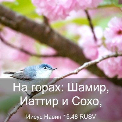 Picture 03 - Иисус Навин 15:48 RUSV - На горах: Шамир, Иаттир и - Bible Verse Picture