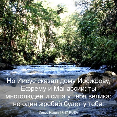 Picture 03 - Иисус Навин 17:17 RUSV - Но Иисус сказал дому - Bible Verse Picture