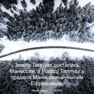 Picture 03 - Иисус Навин 17:8 RUSV - Земля Таппуах досталась - Bible Verse Picture