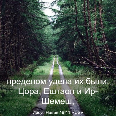 Picture 03 - Иисус Навин 19:41 RUSV - пределом удела их были: - Bible Verse Picture