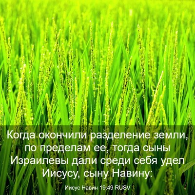 Picture 03 - Иисус Навин 19:49 RUSV - Когда окончили разделение - Bible Verse Picture
