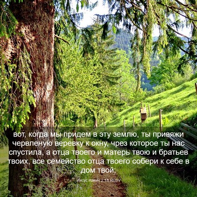 Picture 03 - Иисус Навин 2:18 RUSV - вот, когда мы придем в эту - Bible Verse Picture