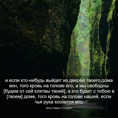 Picture 03 - Иисус Навин 2:19 RUSV - и если кто-нибудь выйдет из - Bible Verse Picture