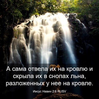 Picture 03 - Иисус Навин 2:6 RUSV - А сама отвела их на кровлю - Bible Verse Picture