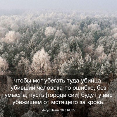 Picture 03 - Иисус Навин 20:3 RUSV - чтобы мог убегать туда - Bible Verse Picture