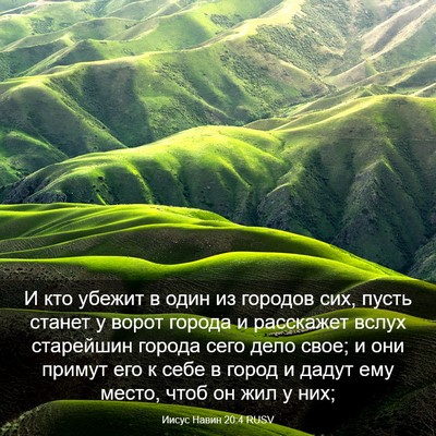 Picture 03 - Иисус Навин 20:4 RUSV - И кто убежит в один из - Bible Verse Picture