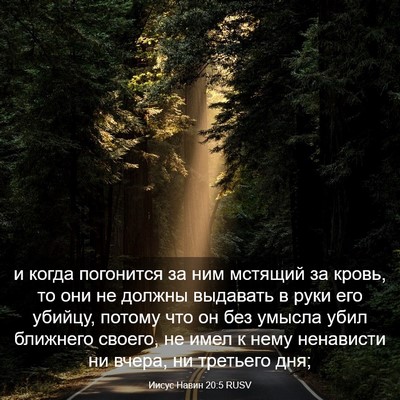 Picture 03 - Иисус Навин 20:5 RUSV - и когда погонится за ним - Bible Verse Picture