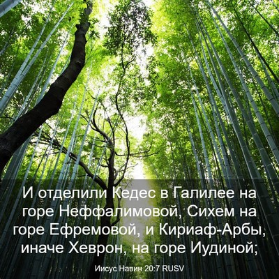 Picture 03 - Иисус Навин 20:7 RUSV - И отделили Кедес в Галилее - Bible Verse Picture