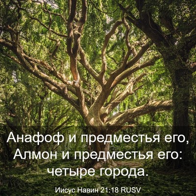 Picture 03 - Иисус Навин 21:18 RUSV - Анафоф и предместья его, - Bible Verse Picture