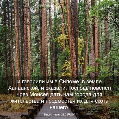 Picture 03 - Иисус Навин 21:2 RUSV - и говорили им в Силоме, в - Bible Verse Picture