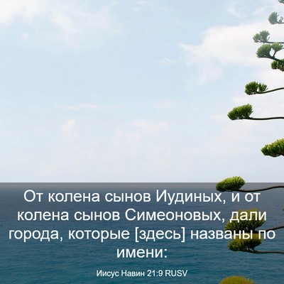 Picture 03 - Иисус Навин 21:9 RUSV - От колена сынов Иудиных, и - Bible Verse Picture