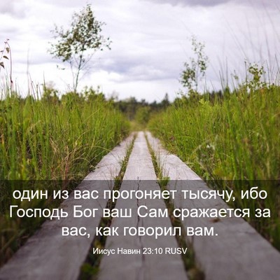 Picture 03 - Иисус Навин 23:10 RUSV - один из вас прогоняет - Bible Verse Picture