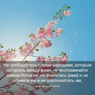 Picture 03 - Иисус Навин 23:7 RUSV - Не сообщайтесь с сими - Bible Verse Picture
