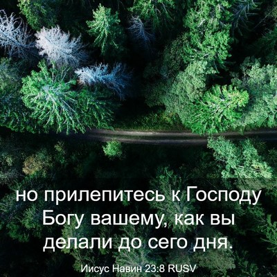 Picture 03 - Иисус Навин 23:8 RUSV - но прилепитесь к Господу - Bible Verse Picture