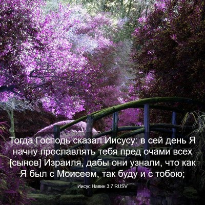 Picture 03 - Иисус Навин 3:7 RUSV - Тогда Господь сказал - Bible Verse Picture