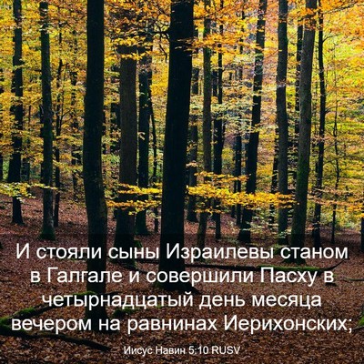 Picture 03 - Иисус Навин 5:10 RUSV - И стояли сыны Израилевы - Bible Verse Picture