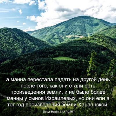 Picture 03 - Иисус Навин 5:12 RUSV - а манна перестала падать - Bible Verse Picture