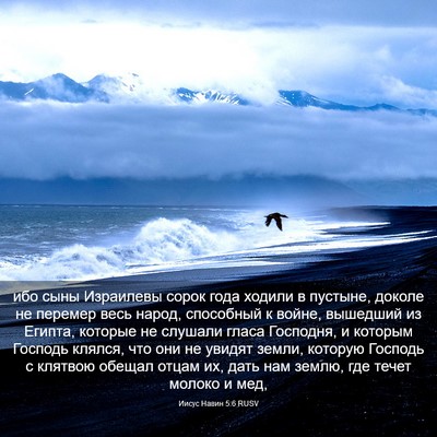 Picture 03 - Иисус Навин 5:6 RUSV - ибо сыны Израилевы сорок - Bible Verse Picture