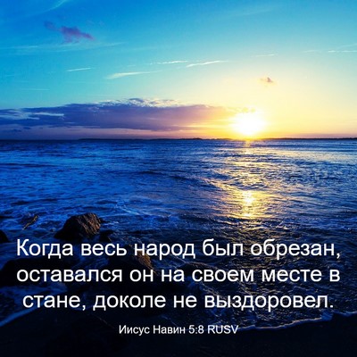 Picture 03 - Иисус Навин 5:8 RUSV - Когда весь народ был - Bible Verse Picture