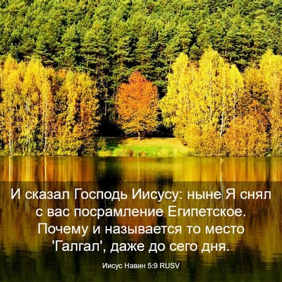 Picture 03 - Иисус Навин 5:9 RUSV - И сказал Господь Иисусу: - Bible Verse Picture