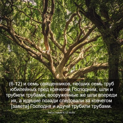Picture 03 - Иисус Навин 6:13 RUSV - (6-12) и семь священников, - Bible Verse Picture