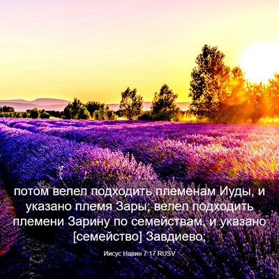 Picture 03 - Иисус Навин 7:17 RUSV - потом велел подходить - Bible Verse Picture