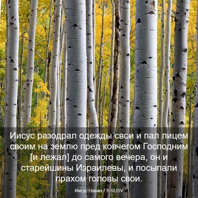 Picture 03 - Иисус Навин 7:6 RUSV - Иисус разодрал одежды свои - Bible Verse Picture