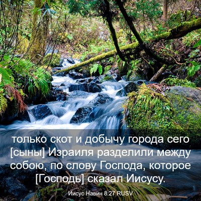 Picture 03 - Иисус Навин 8:27 RUSV - только скот и добычу - Bible Verse Picture