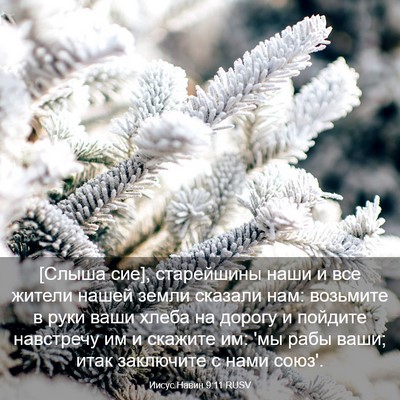 Picture 03 - Иисус Навин 9:11 RUSV - [Слыша сие], старейшины - Bible Verse Picture