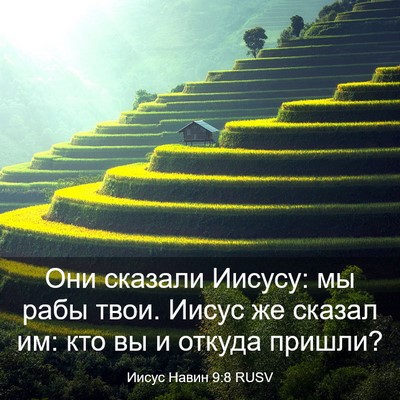 Picture 03 - Иисус Навин 9:8 RUSV - Они сказали Иисусу: мы рабы - Bible Verse Picture