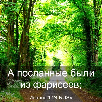 Picture 03 - Иоанна 1:24 RUSV - А посланные были из - Bible Verse Picture