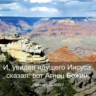 Picture 03 - Иоанна 1:36 RUSV - И, увидев идущего Иисуса, - Bible Verse Picture