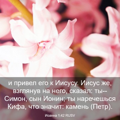 Picture 03 - Иоанна 1:42 RUSV - и привел его к Иисусу. - Bible Verse Picture
