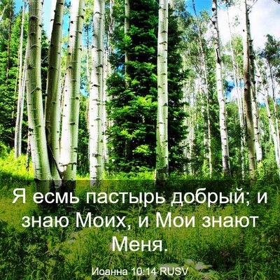 Picture 03 - Иоанна 10:14 RUSV - Я есмь пастырь добрый; и - Bible Verse Picture