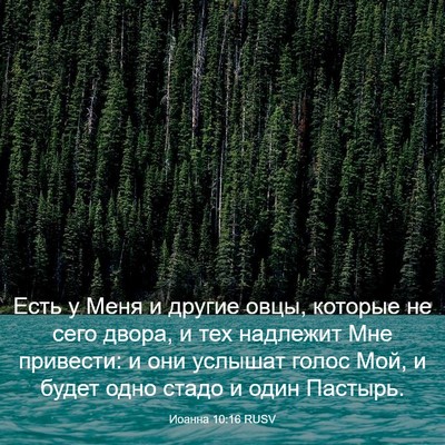Picture 03 - Иоанна 10:16 RUSV - Есть у Меня и другие овцы, - Bible Verse Picture