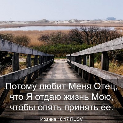 Picture 03 - Иоанна 10:17 RUSV - Потому любит Меня Отец, что - Bible Verse Picture