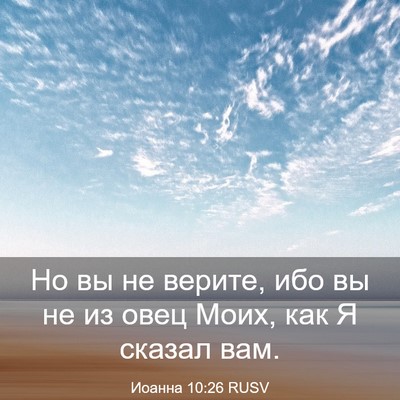 Picture 03 - Иоанна 10:26 RUSV - Но вы не верите, ибо вы не - Bible Verse Picture