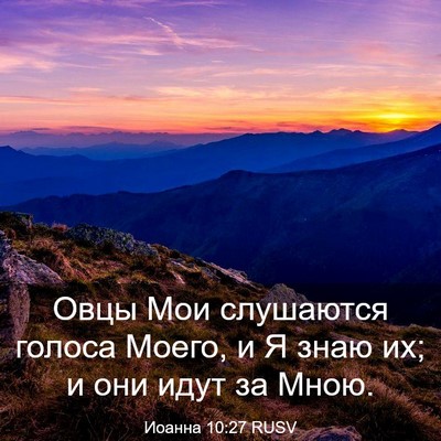 Picture 03 - Иоанна 10:27 RUSV - Овцы Мои слушаются голоса - Bible Verse Picture
