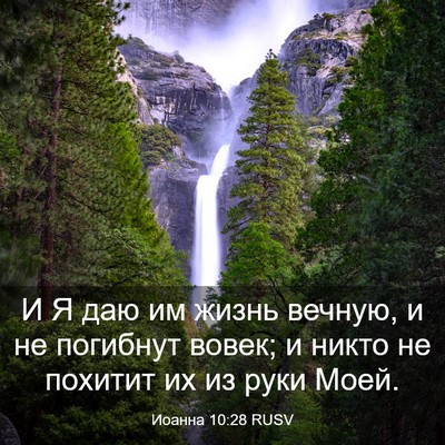 Picture 03 - Иоанна 10:28 RUSV - И Я даю им жизнь вечную, и - Bible Verse Picture