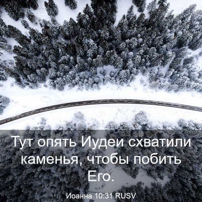 Picture 03 - Иоанна 10:31 RUSV - Тут опять Иудеи схватили - Bible Verse Picture