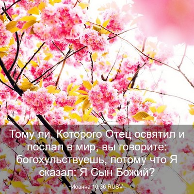 Picture 03 - Иоанна 10:36 RUSV - Тому ли, Которого Отец - Bible Verse Picture