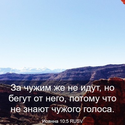 Picture 03 - Иоанна 10:5 RUSV - За чужим же не идут, но - Bible Verse Picture