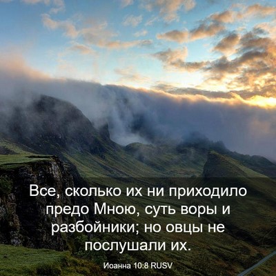 Picture 03 - Иоанна 10:8 RUSV - Все, сколько их ни - Bible Verse Picture