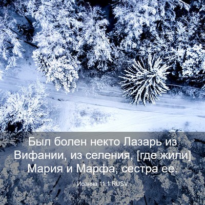 Picture 03 - Иоанна 11:1 RUSV - Был болен некто Лазарь из - Bible Verse Picture