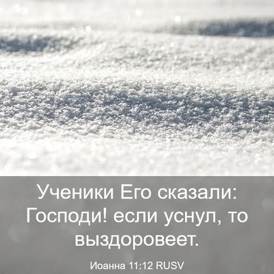 Picture 03 - Иоанна 11:12 RUSV - Ученики Его сказали: - Bible Verse Picture