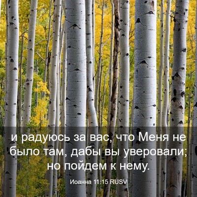 Picture 03 - Иоанна 11:15 RUSV - и радуюсь за вас, что Меня - Bible Verse Picture