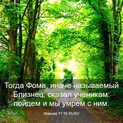 Picture 03 - Иоанна 11:16 RUSV - Тогда Фома, иначе - Bible Verse Picture