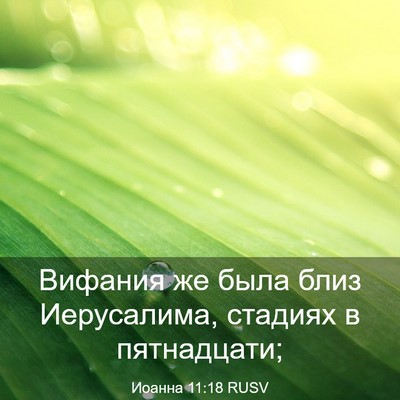 Picture 03 - Иоанна 11:18 RUSV - Вифания же была близ - Bible Verse Picture