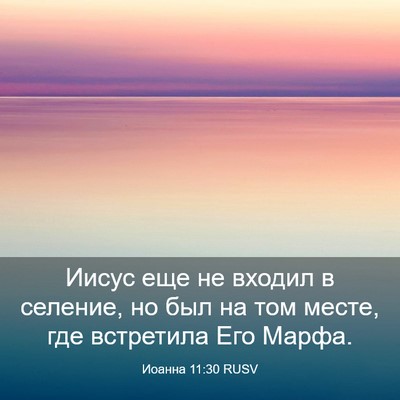 Picture 03 - Иоанна 11:30 RUSV - Иисус еще не входил в - Bible Verse Picture